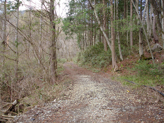 ����X�ѓS�����͐��u��1�������[�q�����v