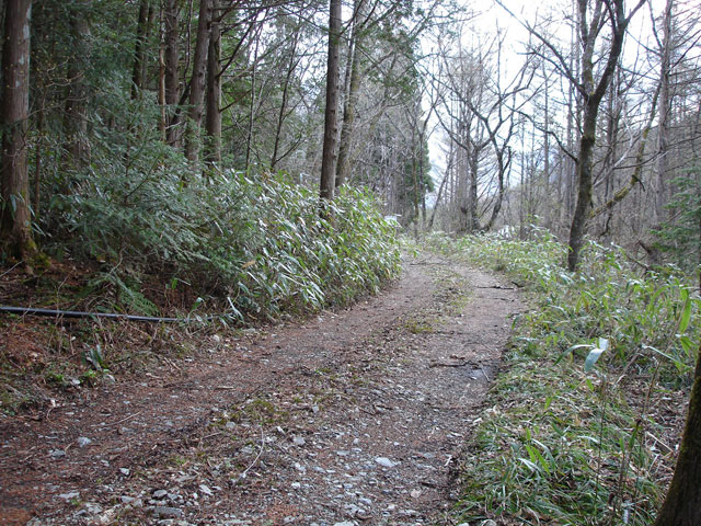 ����X�ѓS�����͐��u��1�������[�q�����v