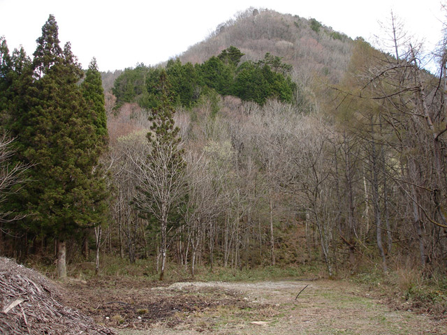 ����X�ѓS�����͐��u�q������ԏ�i���͍��������j�v