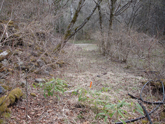 ����X�ѓS�����͐��u�q������ԏ�i���͍��������j�v