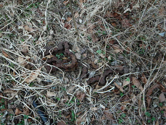 ����X�ѓS�����͐��u�q������ԏ�i���͍��������j�v