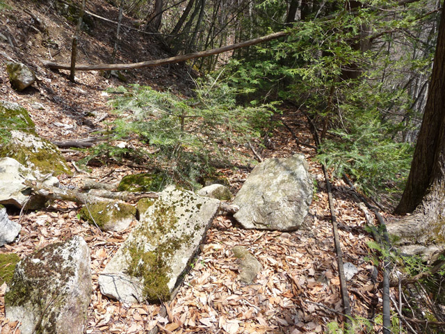 ���͐X�ѓS��,�ѓS,�p����,�㕔�O��,���[��,���H