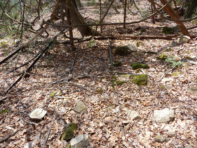 ���͐X�ѓS��,�ѓS,�p����,�㕔�O��,����,���[��