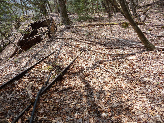 ���͐X�ѓS��,�ѓS,�p����,�㕔�O��,���É��c�ы�,����c�я�