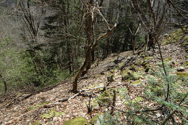 ���͐X�ѓS��,�ѓS,�p����,�㕔�O��,����,���[��,����c�я�