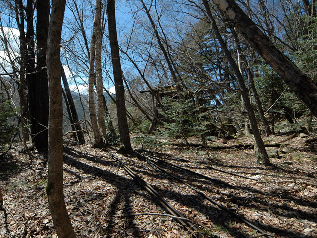 ���͐X�ѓS��,�ѓS,�p����,�㕔�O��,����,���[��,����c�я�