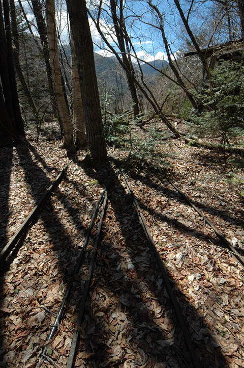 ���͗ѓS,�X�ѓS��,�p����,�㕔�O��,�x�����ԏ�,�|�C���g