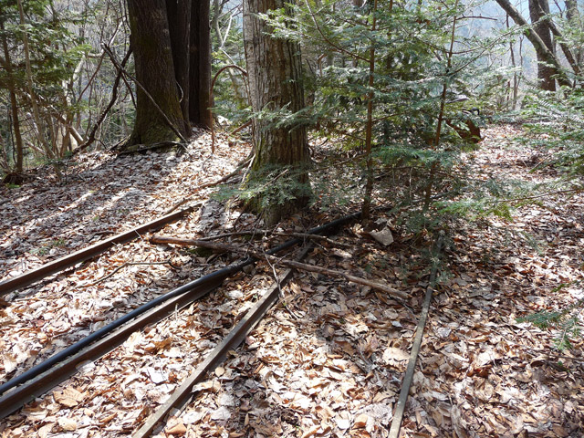 ���͗ѓS,�X�ѓS��,�p����,�㕔�O��,�x�����ԏ�,�|�C���g