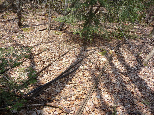 ���͗ѓS,�X�ѓS��,�p����,�㕔�O��,�x�����ԏ�,���͍���