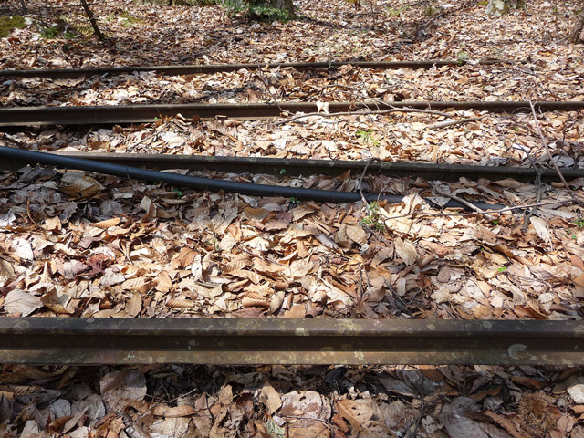 ���͗ѓS,�X�ѓS��,�p����,�㕔�O��,�x�����ԏ�,���͍���