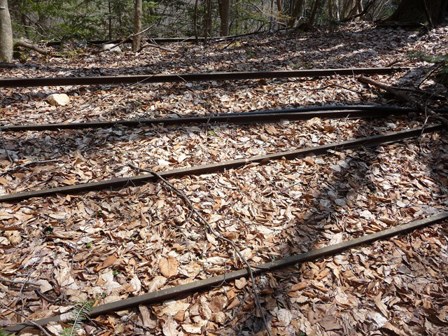 ���͗ѓS,�X�ѓS��,�p����,�㕔�O��,�x�����ԏ�,���͍���