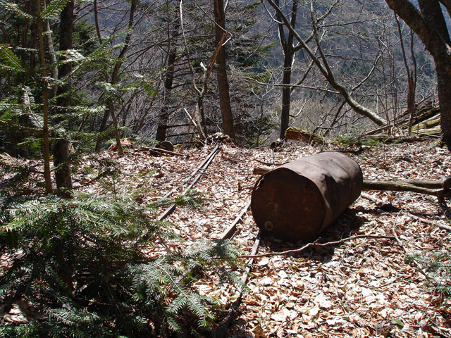 ���͗ѓS,�X�ѓS��,�p����,�㕔�O��,�x�����ԏ�,�|�C���g,�h������