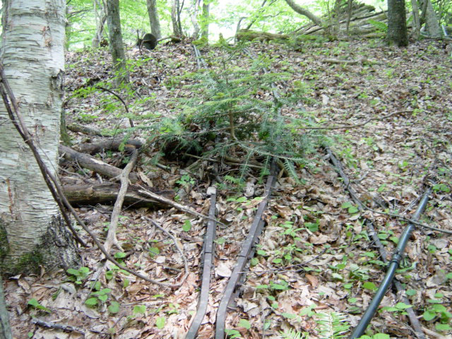 ���͗ѓS,�X�ѓS��,�p����,�㕔�O��,�x�����ԏ�,�|�C���g