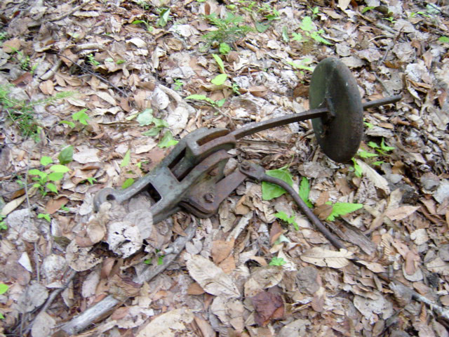 ����X�ѓS�����͐�,�ѓS,�X�ѓS��,�p����,�_���}�]�Q�@,��背�[������