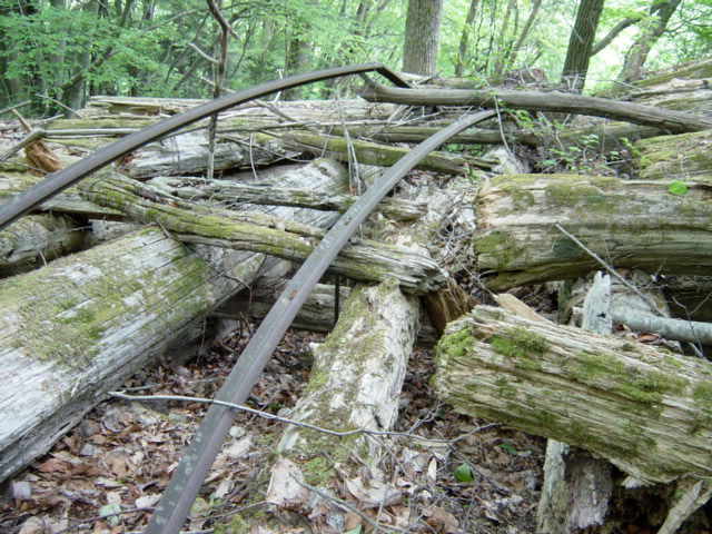 ����X�ѓS�����͐�,�ѓS,�p����,���͋O��,�x�����ԏ�,�Ց�,�V��