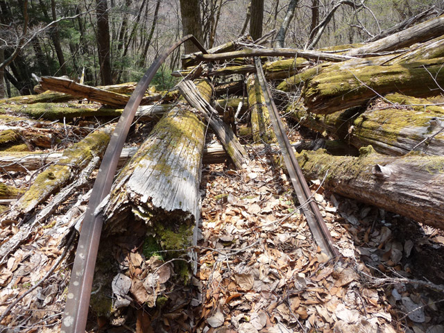 ����X�ѓS�����͐�,�ѓS,�p����,���͋O��,�x�����ԏ�,�Ց�,�V��