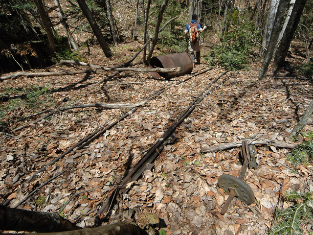 ����X�ѓS�����͐�,�ѓS,�p����,���͍���,�x�����ԏ�