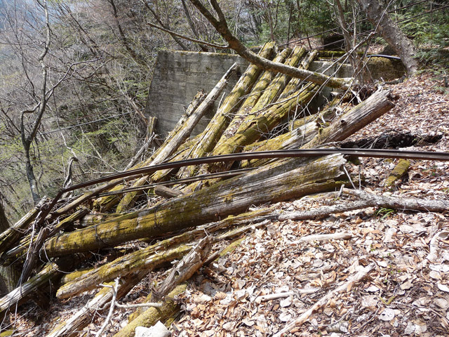 ���͐X�ѓS��,�ѓS,�p����,���͋O��,�Ց�,�ы�