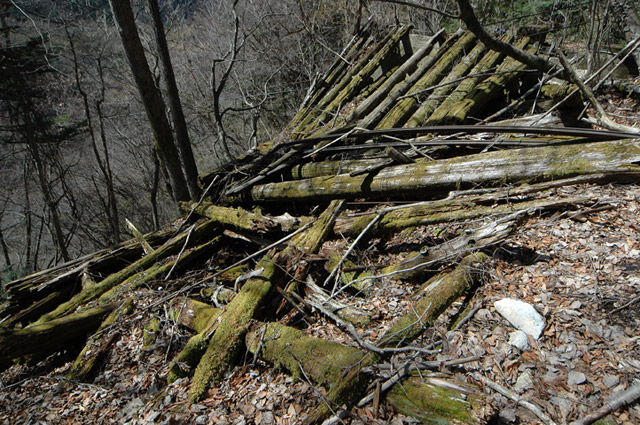 ���͐X�ѓS��,�ѓS,�p����,���͋O��,�Ց�,�ы�