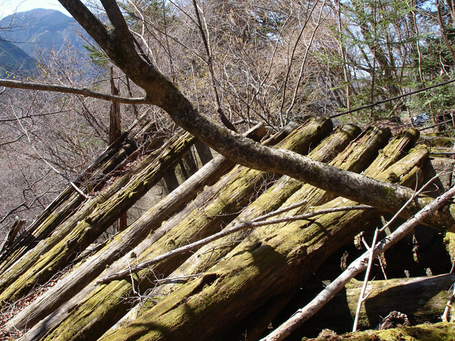 ���͐X�ѓS��,�ѓS,�p����,���͋O��,�Ց�,�ы�