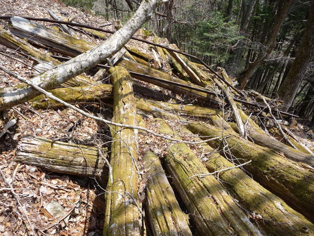 ���͐X�ѓS��,�ѓS,�p����,���͋O��,�Ց�,�ы�