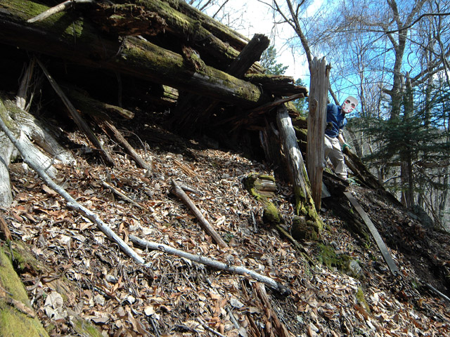 ����X�ѓS�����͐�,�ѓS,�p����,���͋O��,�Ց�,����c�я�