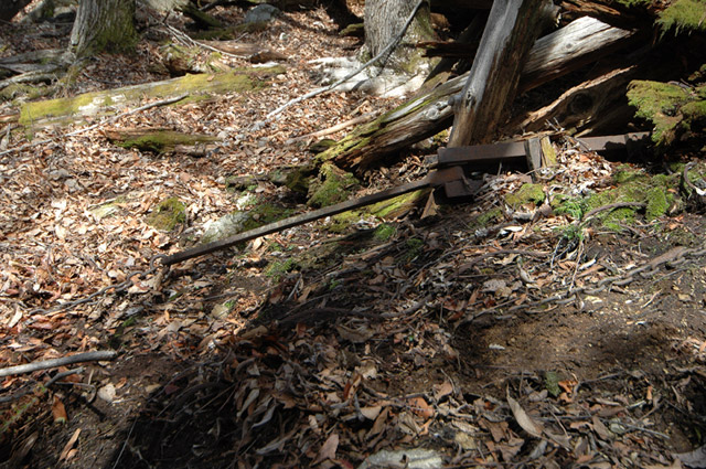 ����X�ѓS�����͐�,�ѓS,�p����,���͋O��,�Ց�,�^�ޑ��,�^�މݎ�