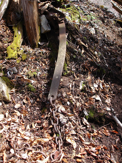 ����X�ѓS�����͐�,�ѓS,�p����,���͋O��,�Ց�,�^�ޑ��,�^�މݎ�