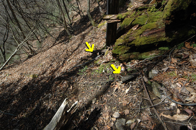 ����X�ѓS�����͐�,�ѓS,�p����,���͋O��,�Ց�,�^�ޑ��,�^�މݎ�