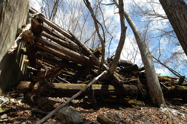 ����X�ѓS�����͐�,�ѓS,�p����,���͋O��,�Ց�,����c�я�