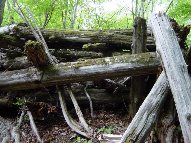 ����X�ѓS�����͐�,�ѓS,�p����,���͋O��,�Ց�,����c�я�