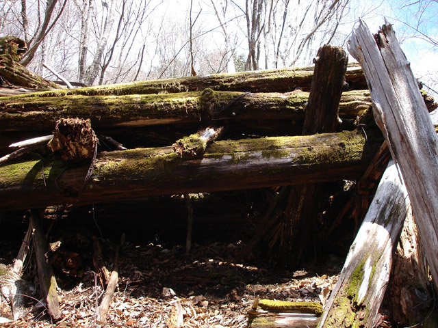 ����X�ѓS�����͐�,�ѓS,�p����,���͋O��,�Ց�,����c�я�