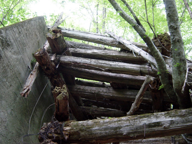 ����X�ѓS�����͐�,�ѓS,�p����,���͋O��,�Ց�,����c�я�