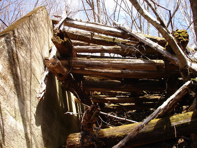 ����X�ѓS�����͐�,�ѓS,�p����,���͋O��,�Ց�,����c�я�