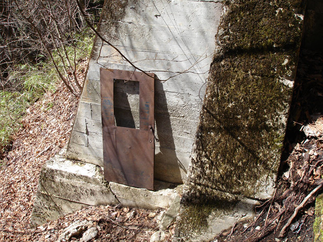 ����X�ѓS�����͐�,�ѓS,�p����,���͋O��,�@�֎�,�L���u,�h�A