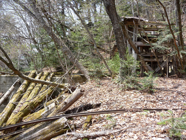 ����X�ѓS�����͐�,�ѓS,�p����,���͍���,����.����