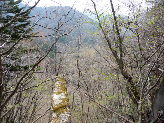 ����X�ѓS��,���͗ѓS,�p����,���͍���,����.����