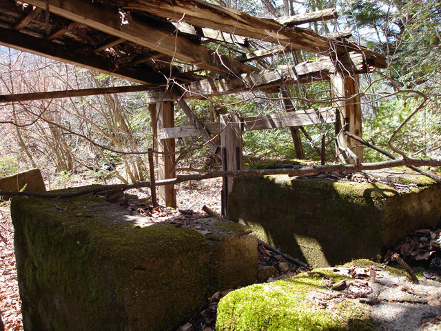 ����X�ѓS�����͐�,�ѓS,�p����,��������.�����@,�����@