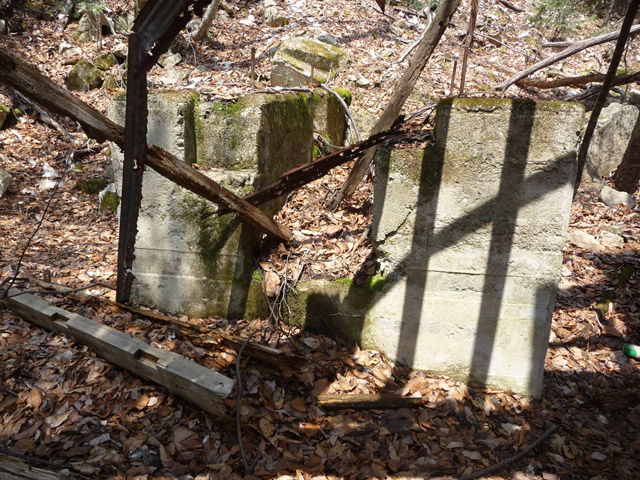 ����X�ѓS�����͐�,�ѓS,�p����,���͍���.�����@,�����@