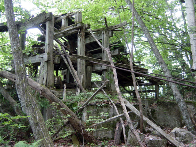 ����X�ѓS�����͐�,�ѓS,�p����,���͍���.����,�ы�