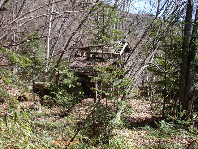 ����X�ѓS�����͐�,�ѓS,�p����,���͍���.����,�ы�