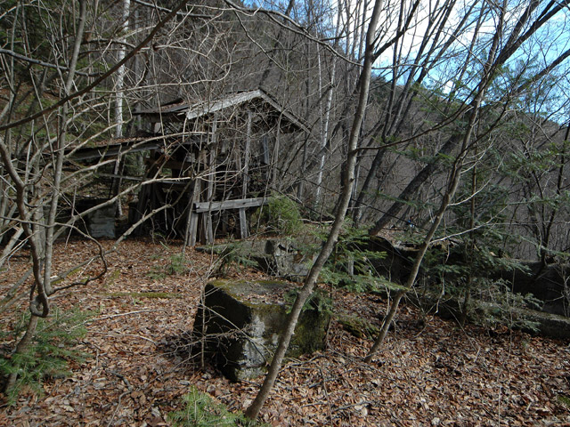 ����X�ѓS�����͐�,�ѓS,�p����,���͍���.����,����c�я�