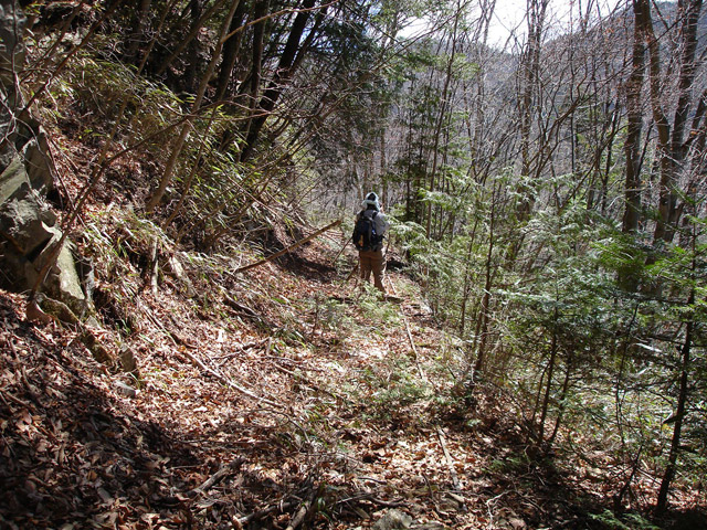 �ѓS,���͐X�ѓS��,�p����,�㕔�O��,����c�я�