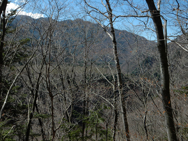 �ѓS,���͐X�ѓS��,�p����,�㕔�O��,����c�я�,���͍���