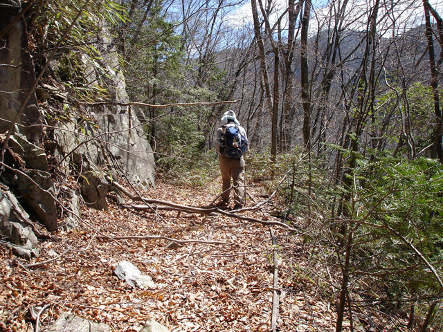 ����X�ѓS�����͐�,�ѓS,�p����,�㕔�O��,����,���H