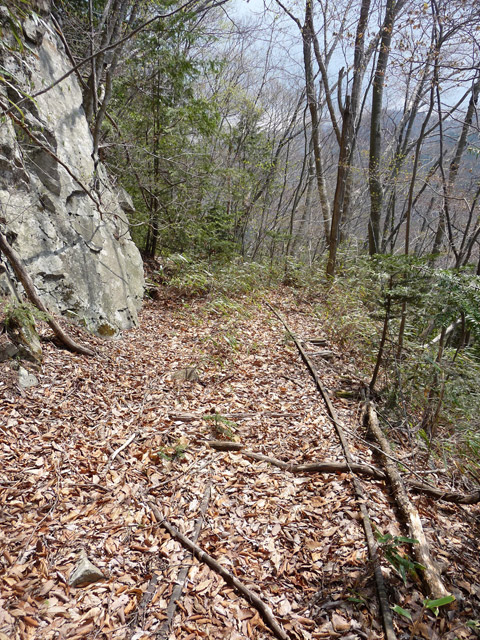 ����X�ѓS�����͐�,�ѓS,�p����,�㕔�O��,����,���H