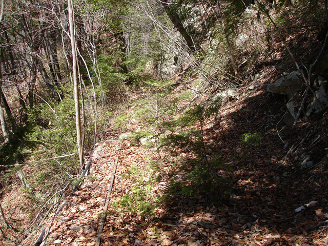 ����X�ѓS�����͐�,�ѓS,�p����,�㕔�O��,����,���H