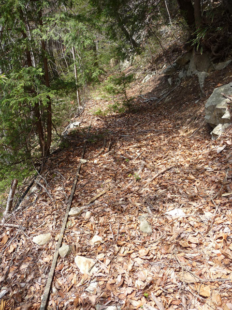 ����X�ѓS�����͐�,�ѓS,�p����,�㕔�O��,����,���H