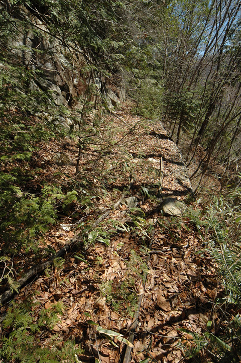 ����X�ѓS�����͐�,�ѓS,�p����,�㕔�O��,����,���H