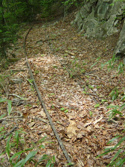 ����X�ѓS�����͐�,�ѓS,�p����,�㕔�O��,����,���H